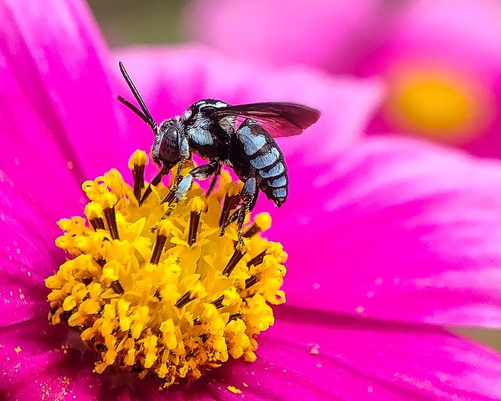 Photograph by Abhipratim Manna