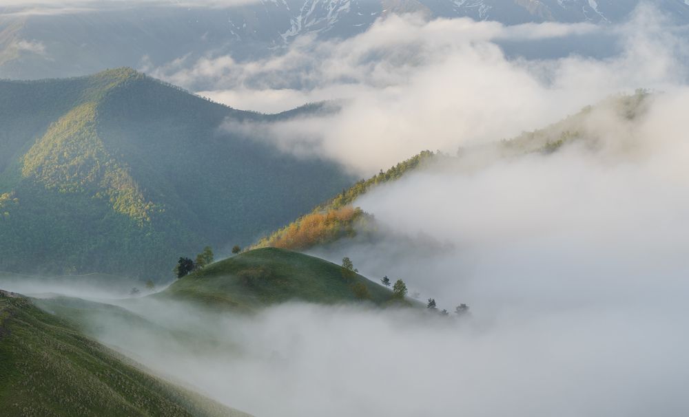 Photograph by Леонтьев Константин