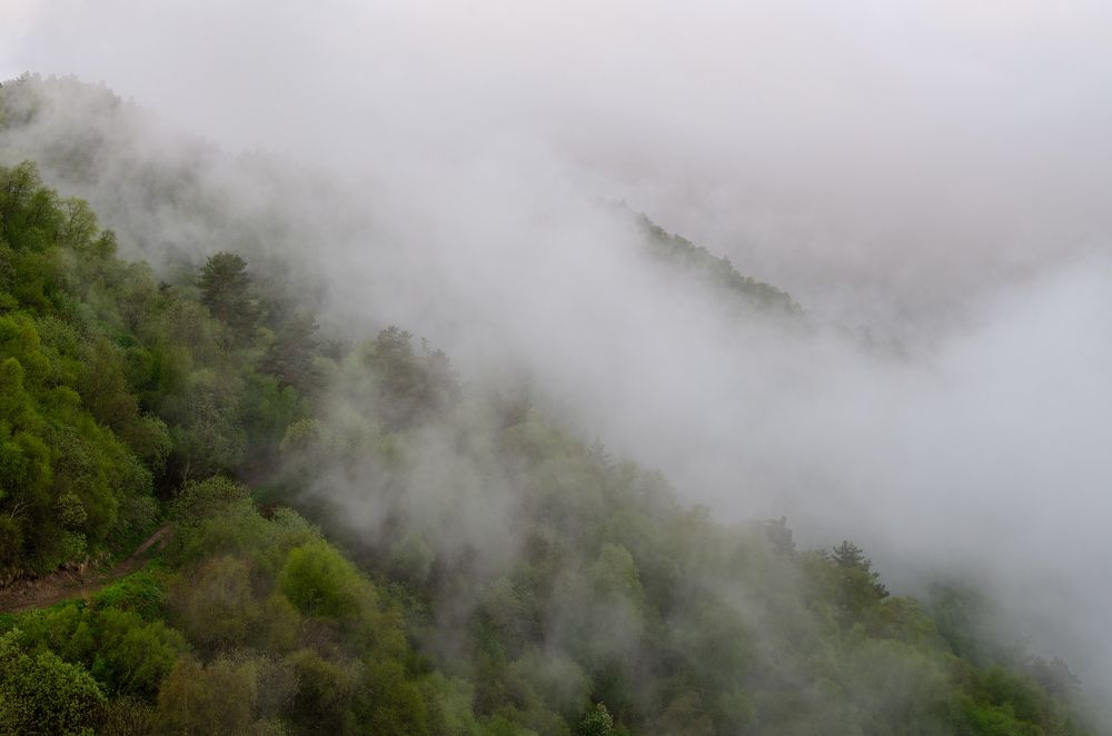 Photograph by Леонтьев Константин