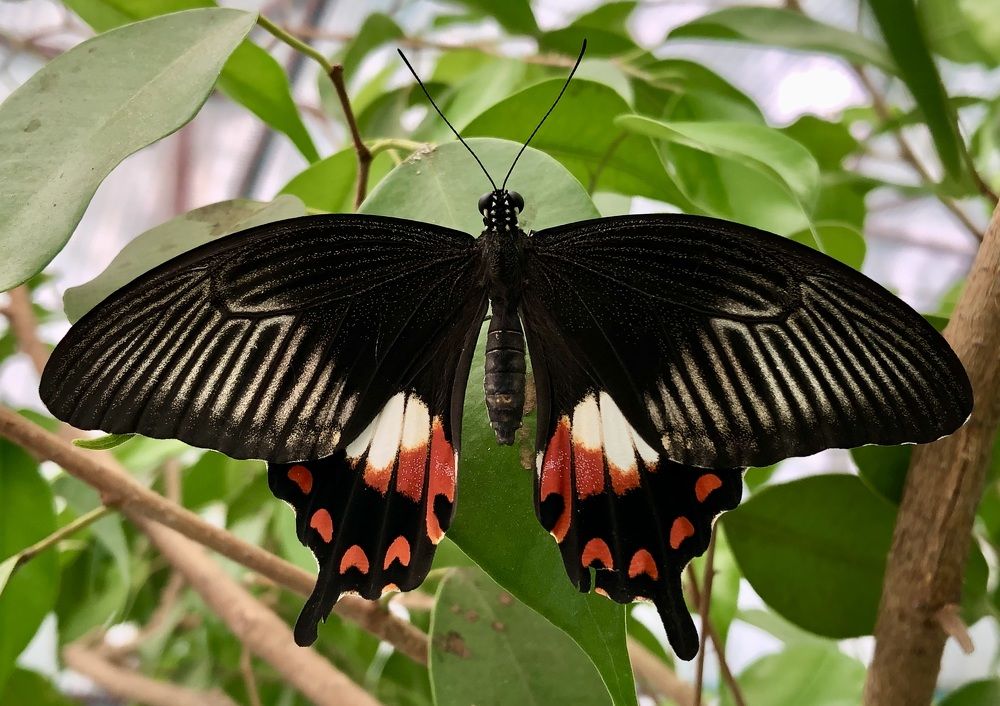 Фотография автора Евгения Елисеева