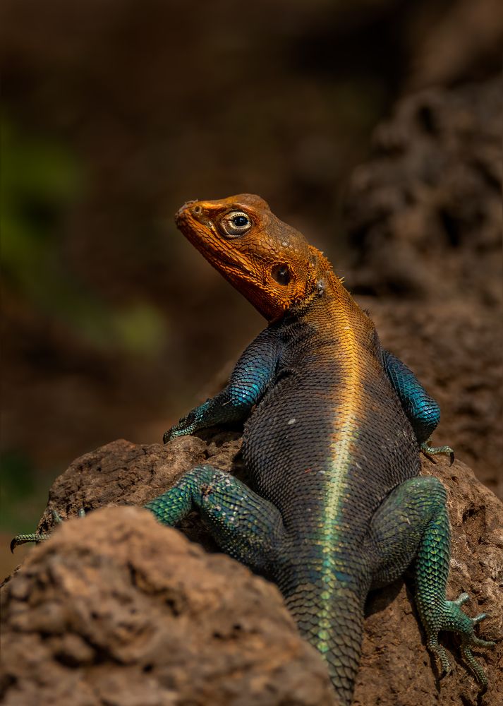 Photograph by praveesh pv