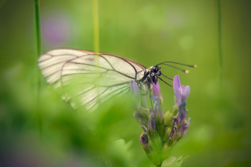 Photograph by Евгений Малинин