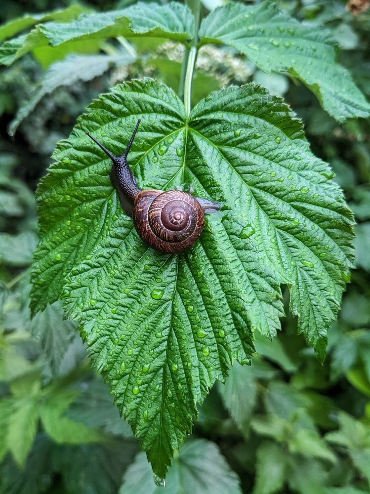 Photograph by Екатерина Чижевская