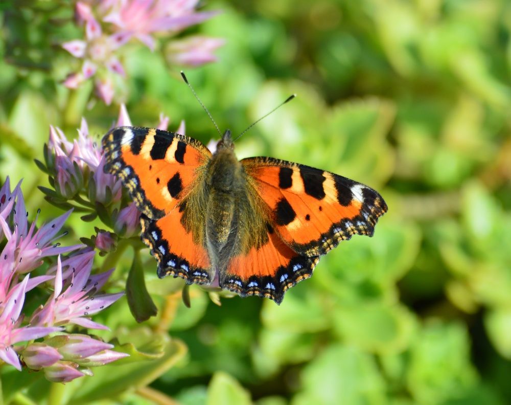 Photograph by Екатерина Казарцева