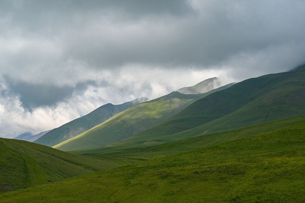 Photograph by Инна Гаджиева