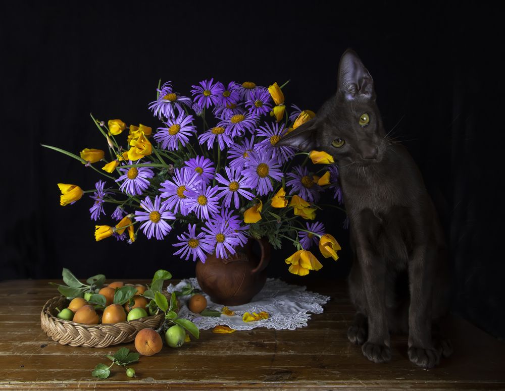 Photograph by Татьяна Феденкова