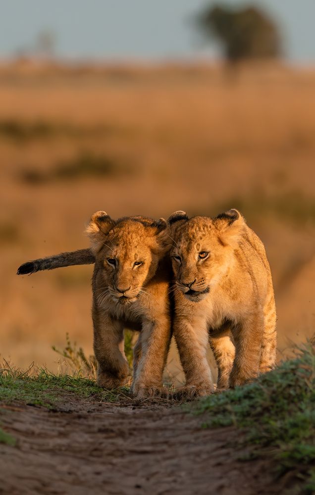 Photograph by praveesh pv