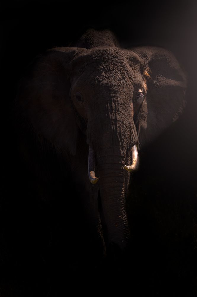 Photograph by praveesh pv