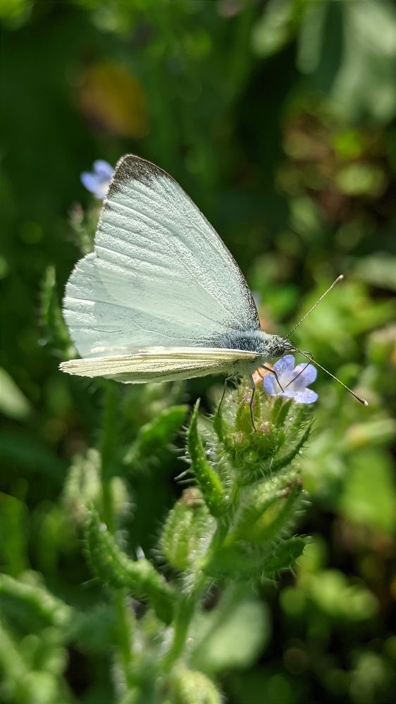 Фотография автора Васильева Ирина