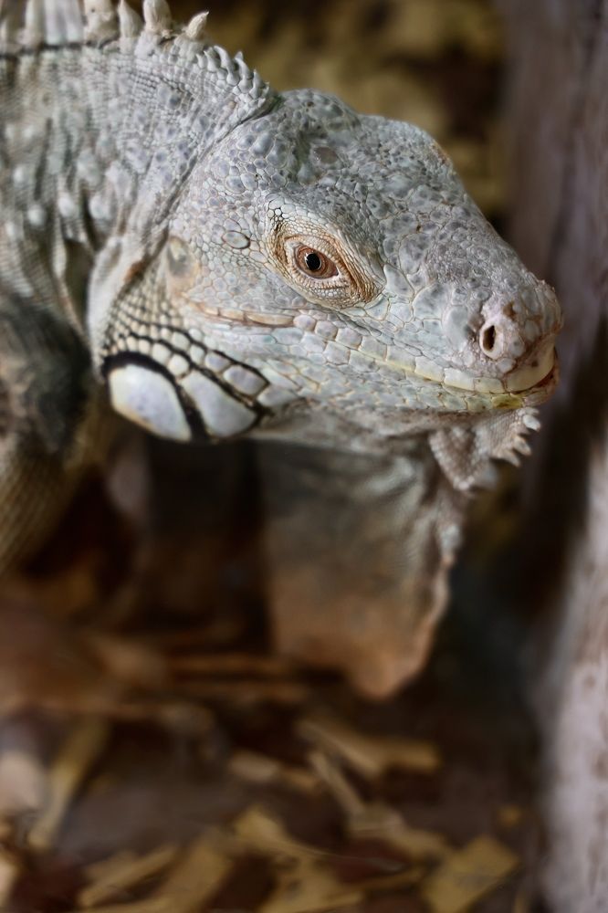 Photograph by Евгения Казакова