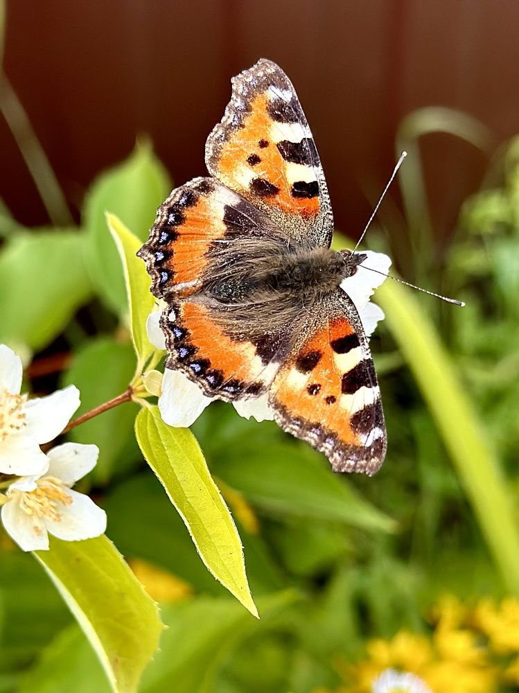 Photograph by Евгения Казакова