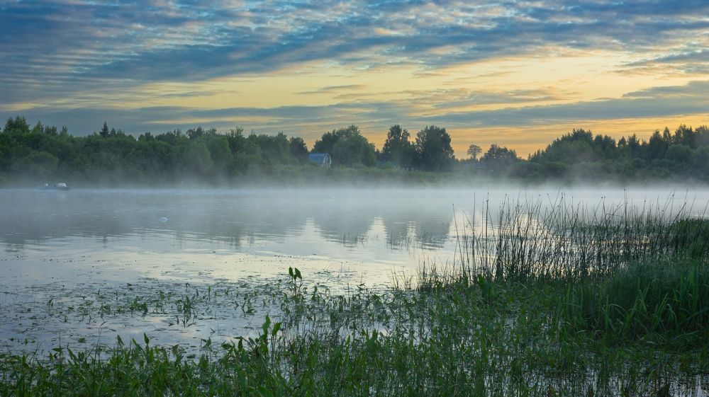 Early foggy morning near the Sukhona River
