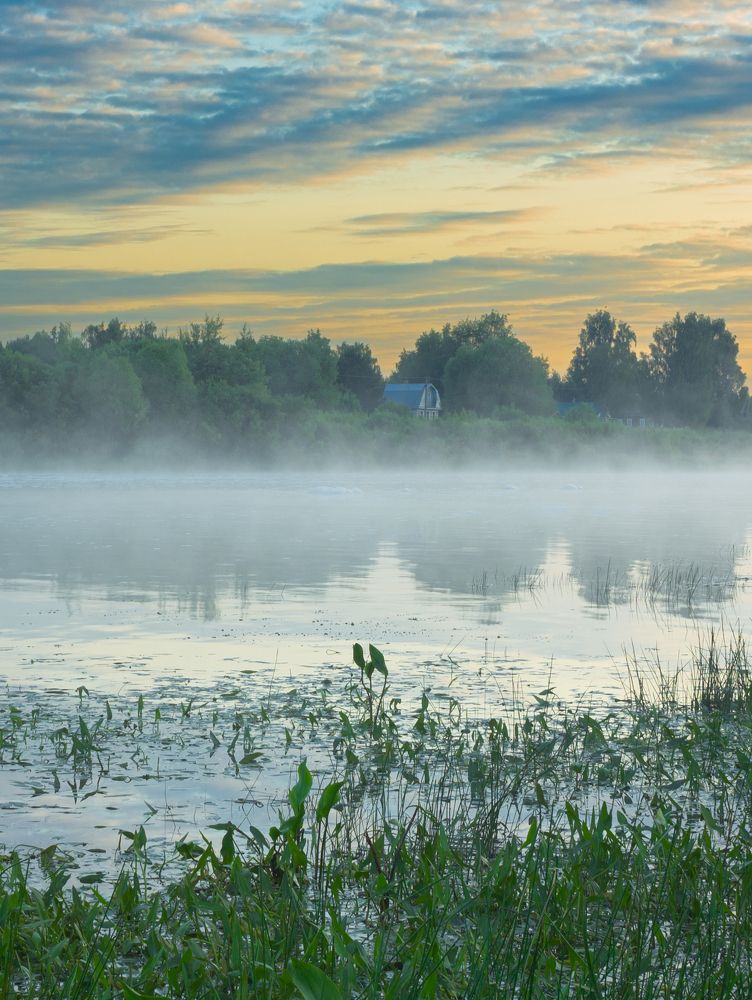 Early foggy morning near the Sukhona River in June
