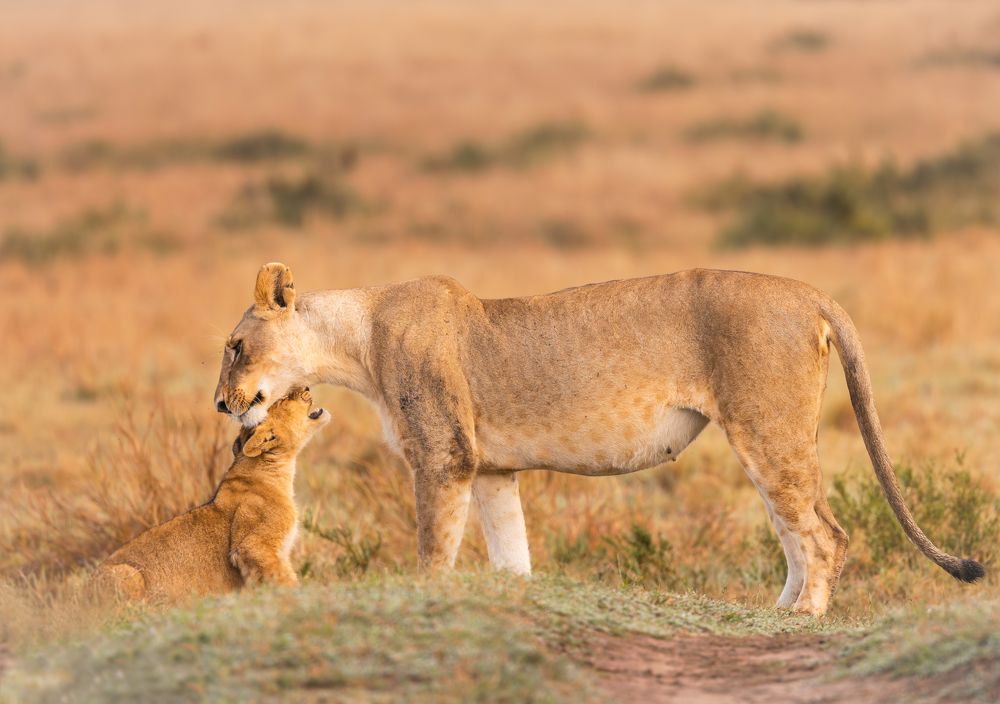 Photograph by praveesh pv