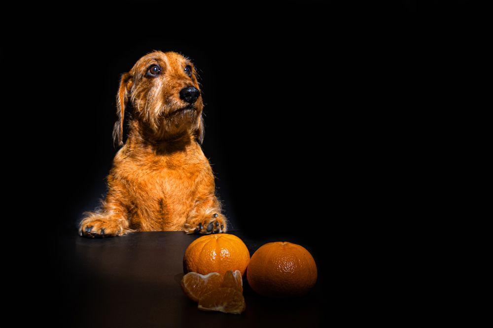 Photograph by Евгений Жуланов