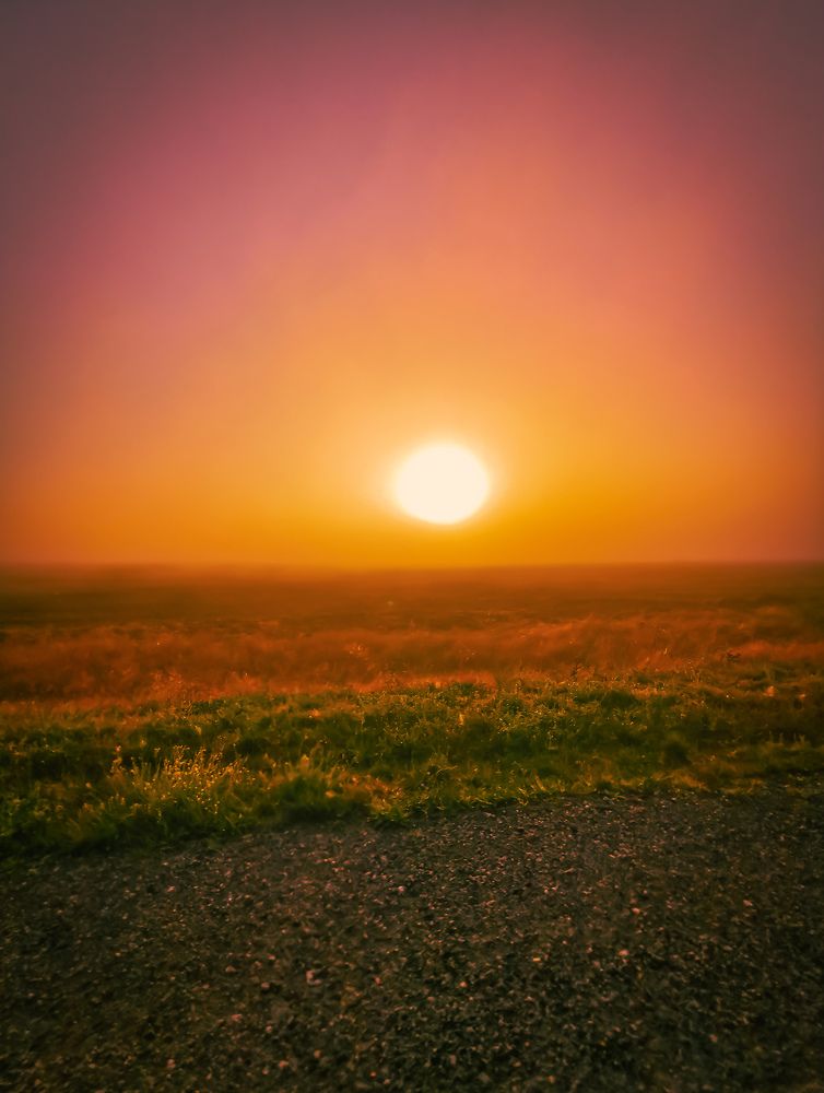 Photograph by Мария Цепилова