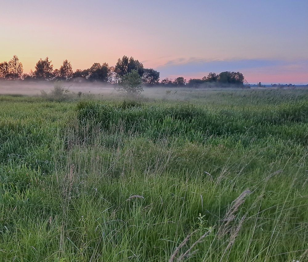 Photograph by Светлана Светлана