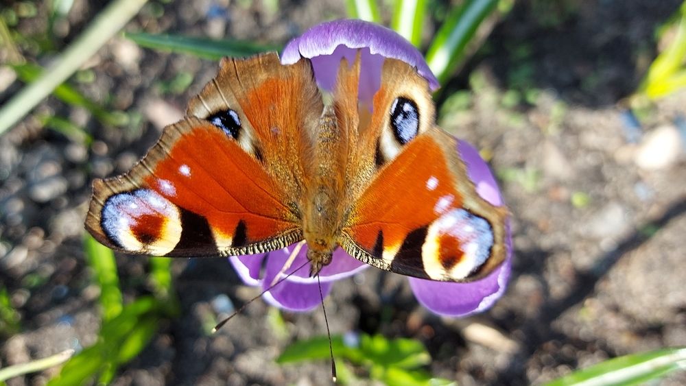 Photograph by ЭЛЬМИРА  ИСМАИЛОВА