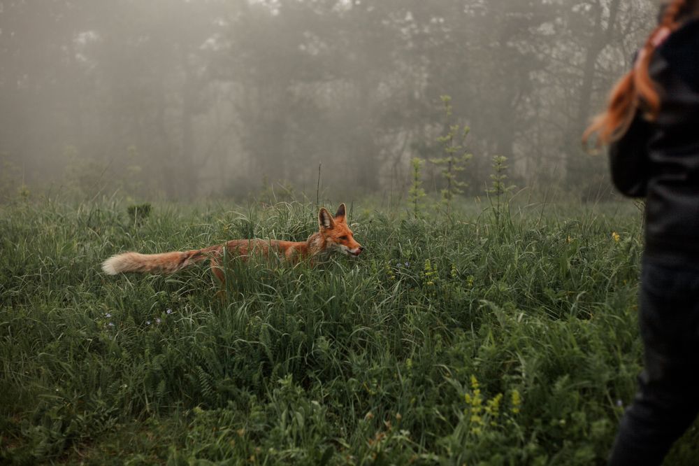 Photograph by Nina Zaytseva