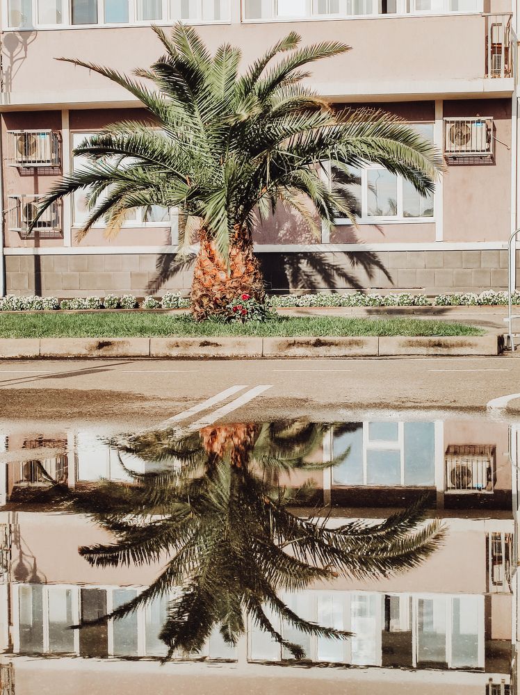 Photograph by Екатерина Гайдук