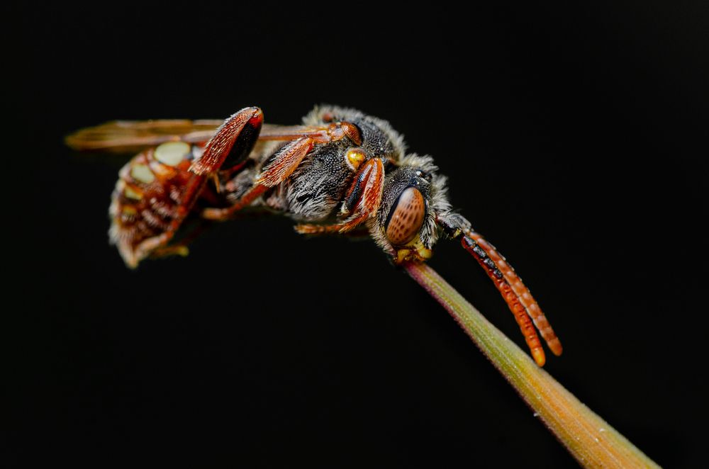 Photograph by Андрей Лысаченко