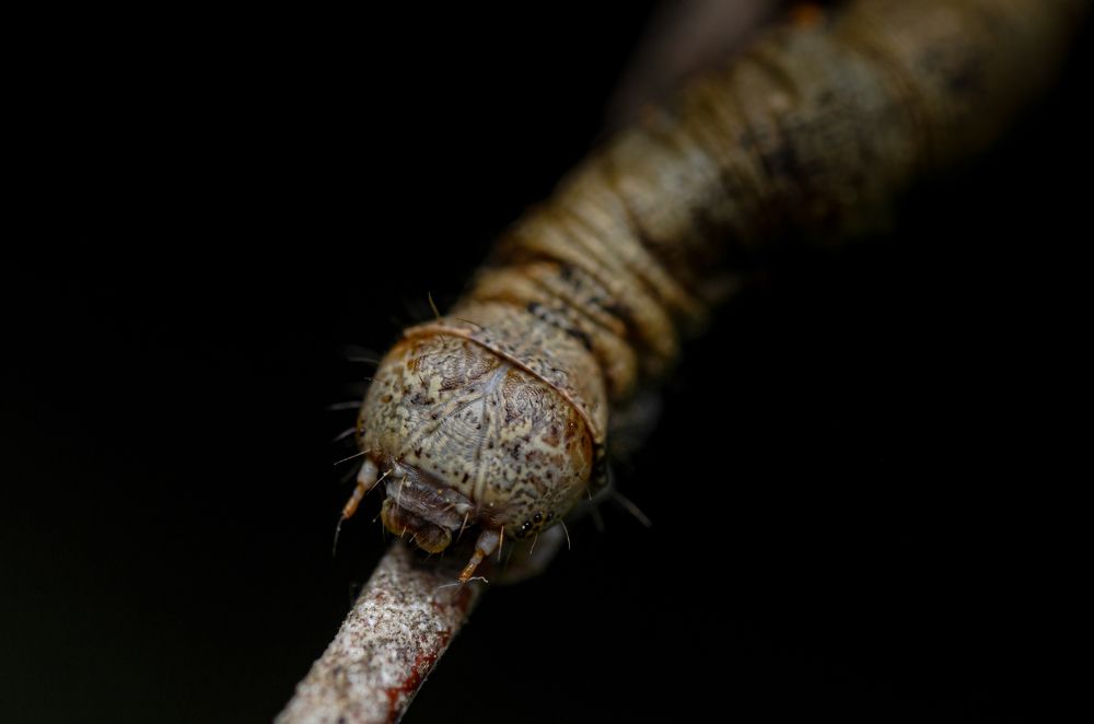 Photograph by Андрей Лысаченко