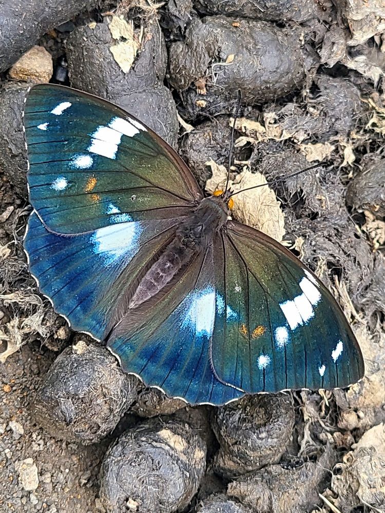 Photograph by Татьяна Анатольевна