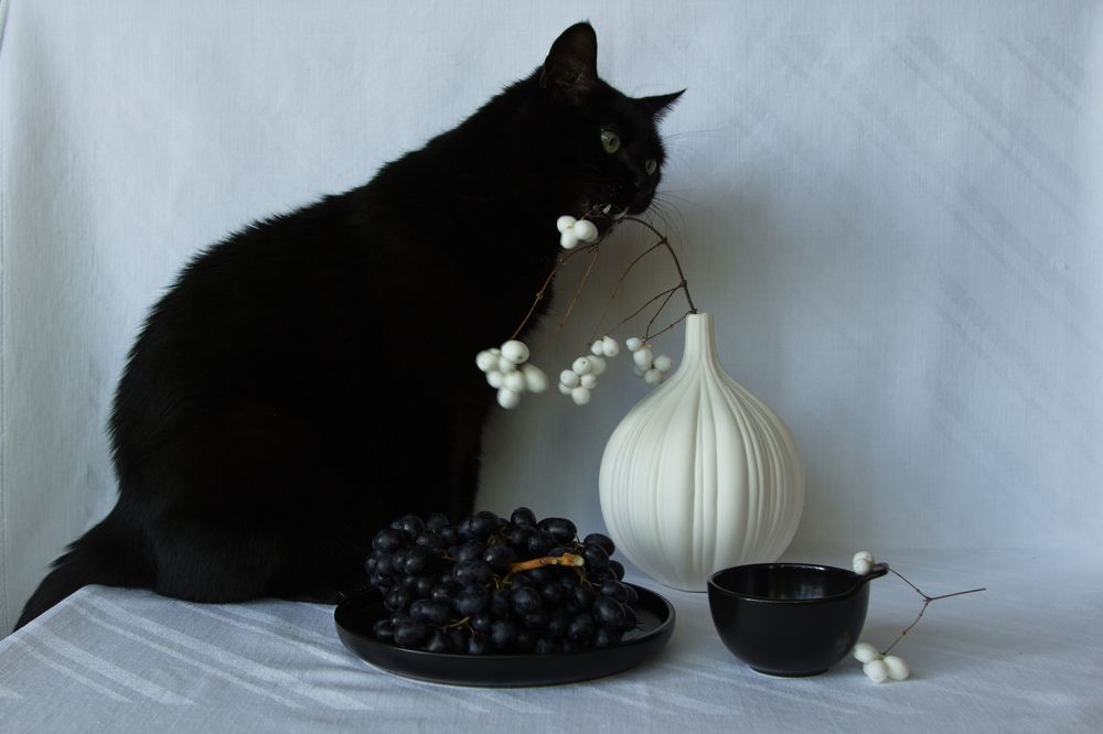 Понавешали!