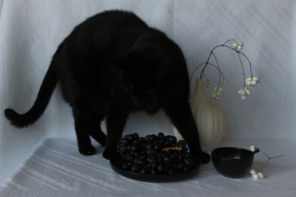 Сколько чёрного!