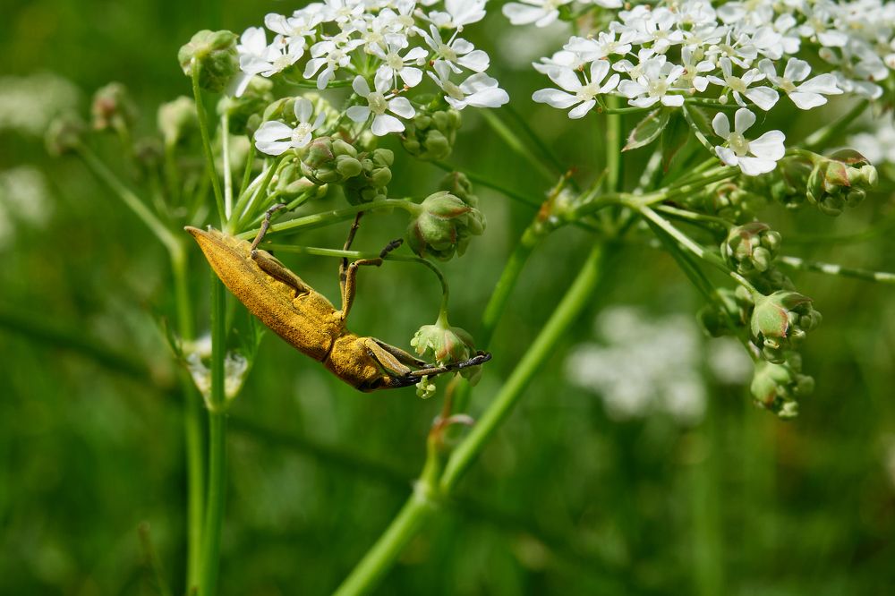 Photograph by сергей воробьёв