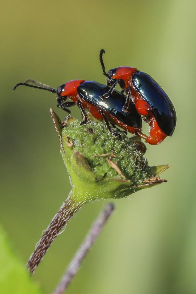 Photograph by Frank cobo blanco