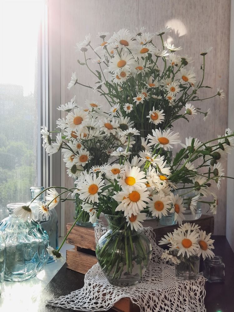 Photograph by Галина Оспищева