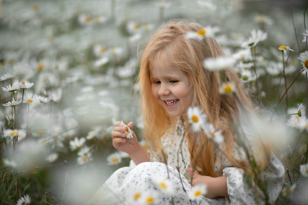 Ромашки, ромашки...