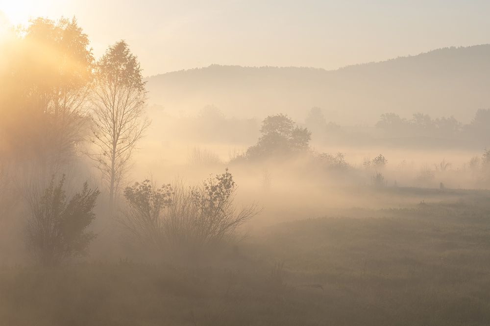 Photograph by Алёна Ивочкина