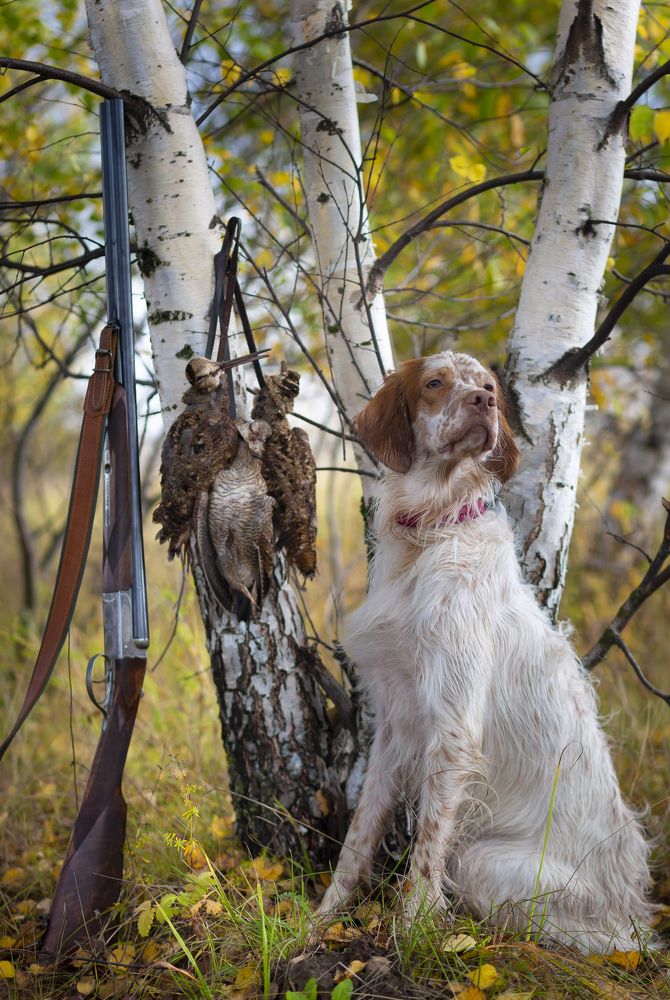 Photograph by Александр Чибиркин