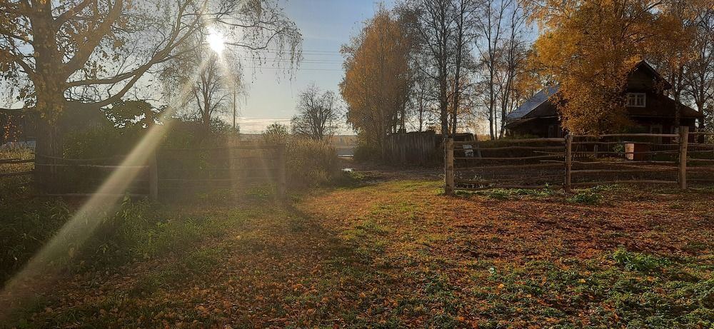 Photograph by Екатерина Алексеенко