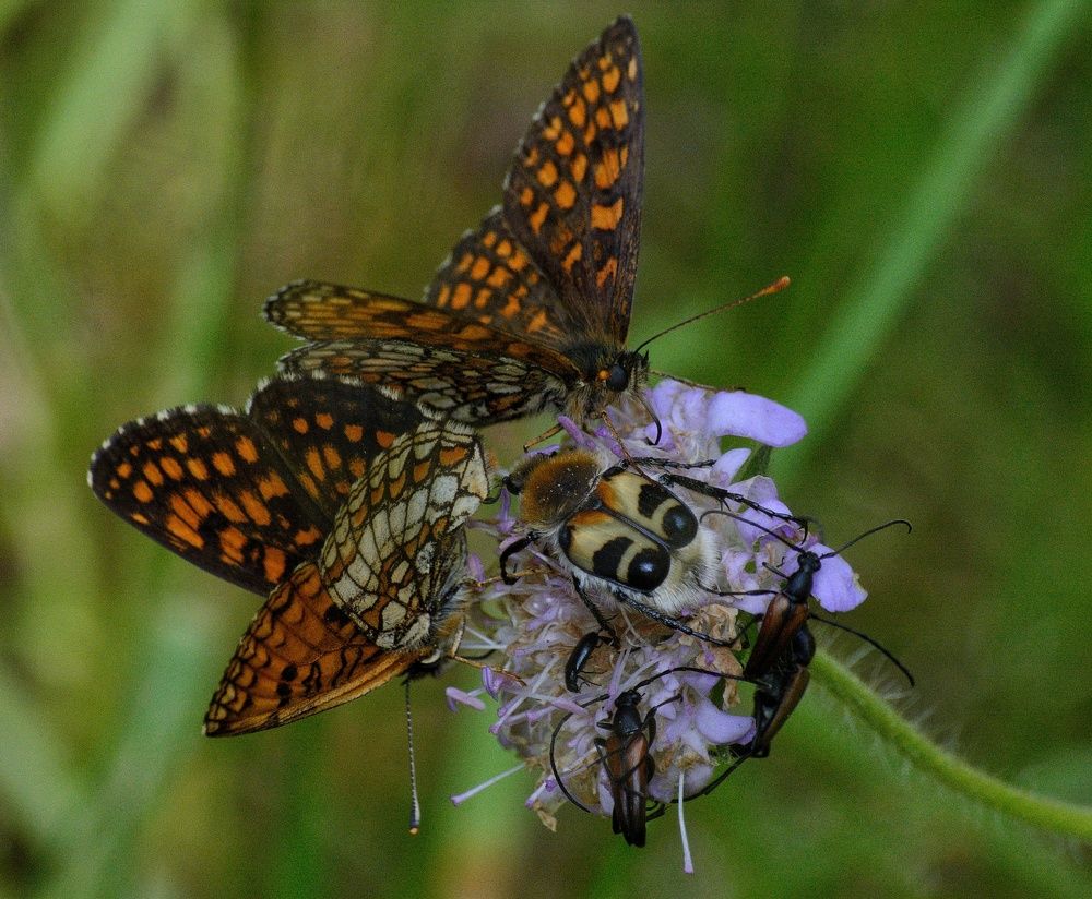 Photograph by Сергей Симаков