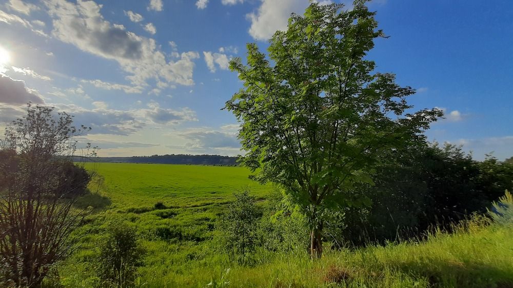 Photograph by Екатерина Алексеенко