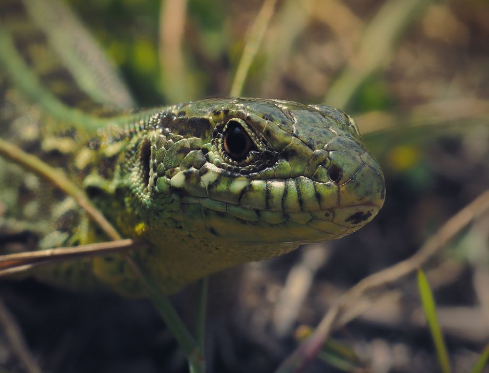 Photograph by Юрий Говорков