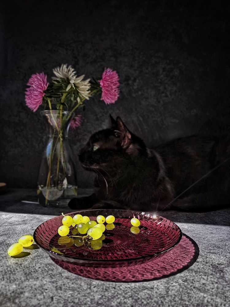 Photograph by Дина Полухина