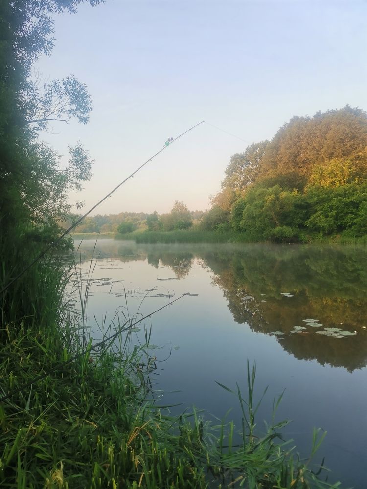 Photograph by Александр Костин