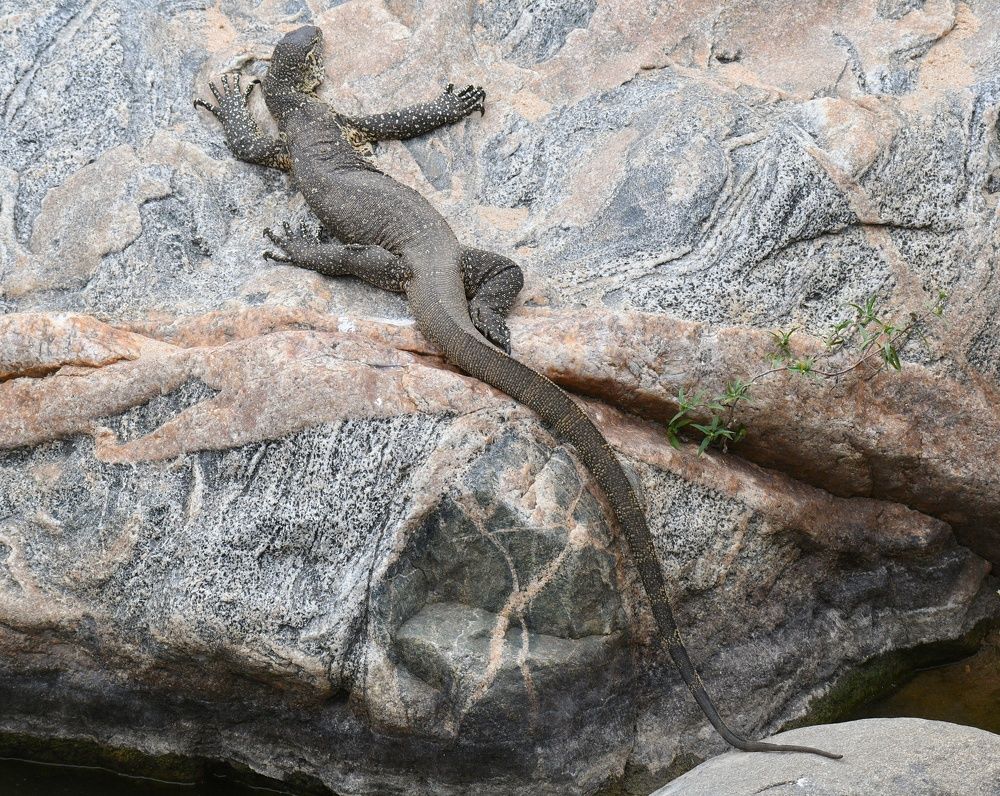 Photograph by Michelle Storm