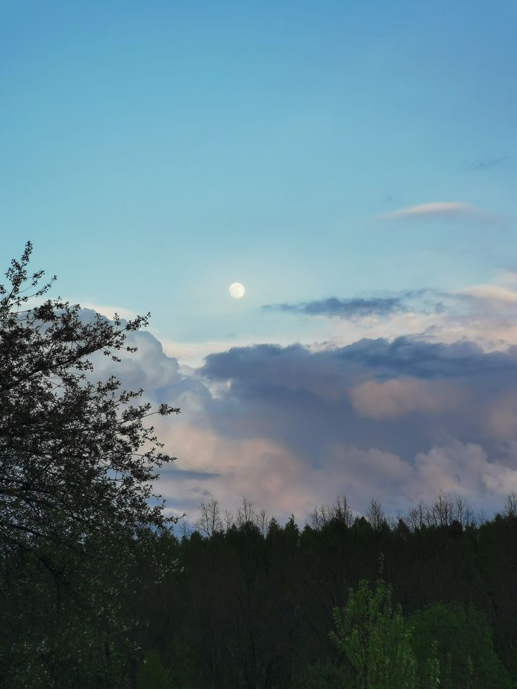 Photograph by Александр Костин