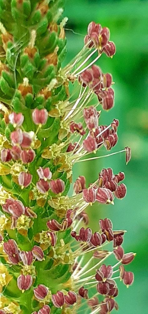 Photograph by Евгения Ульянова