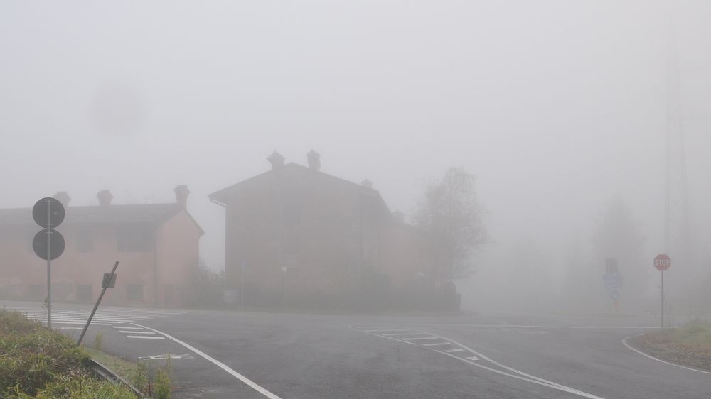 Photograph by Елена Никонова