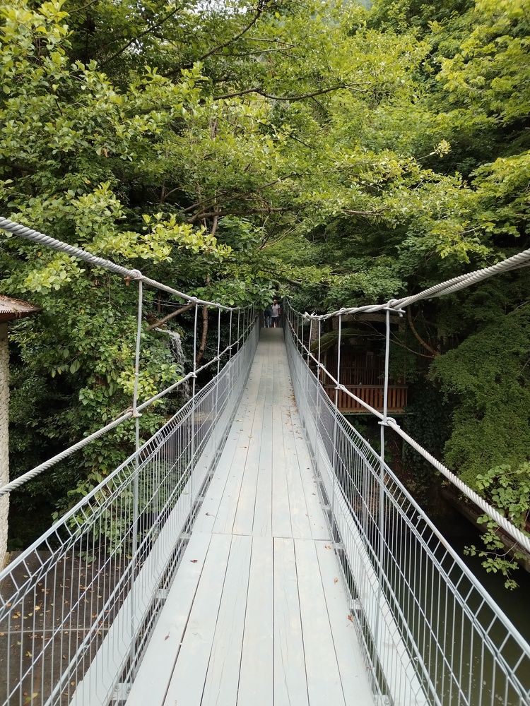 Photo #9272762