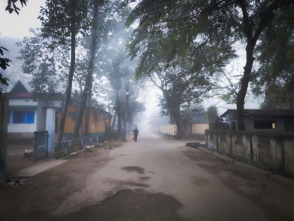 Walking in a winter wounderland