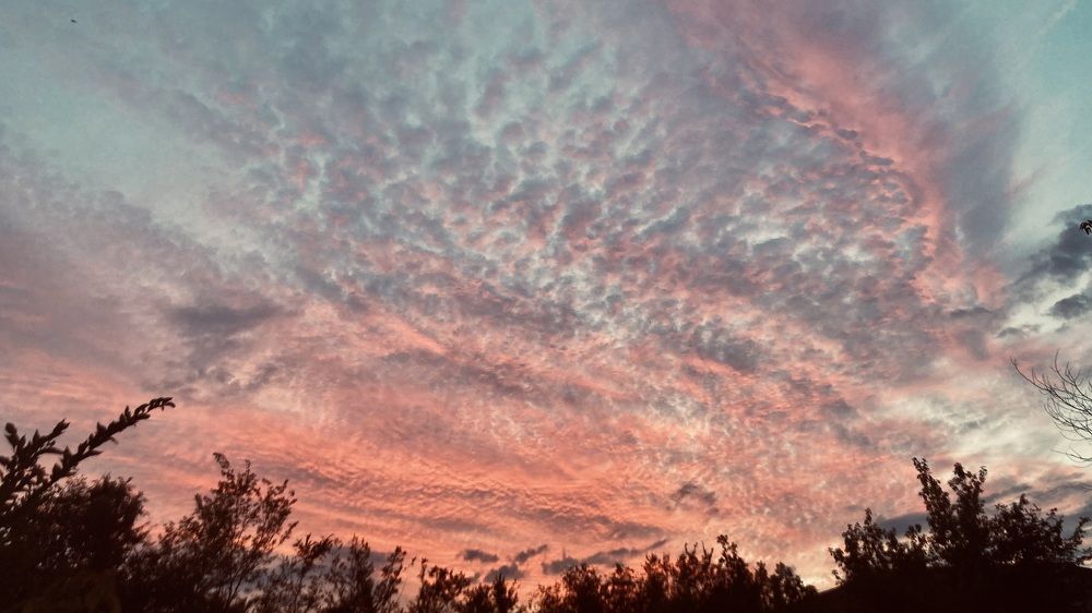 Photograph by Илья Юриков