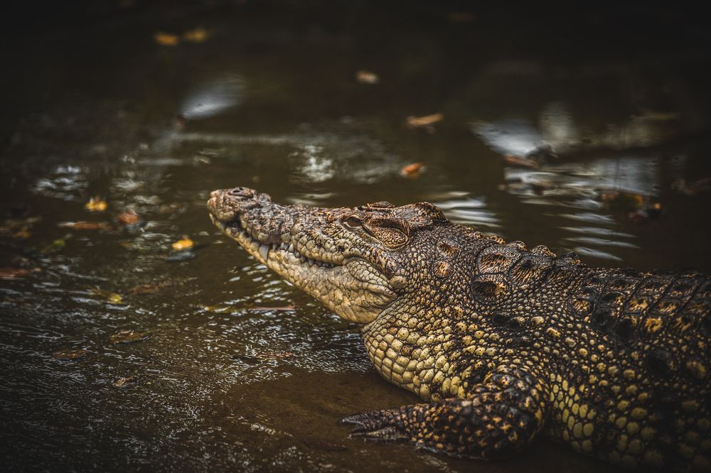 Photograph by Anatoliy Buyanov