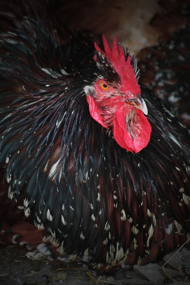 Photograph by Диана Ульянцева